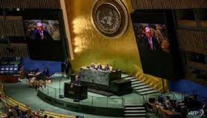 UN to finally adopt high seas treaty