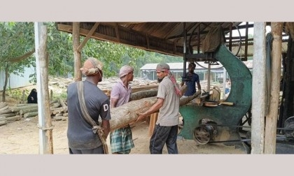 42 saw mills operating illegally in Sakhipur reserve forest area