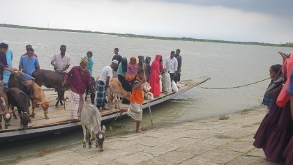 Flash flood inundates Haor areas in Kishoreganj, ferry services suspended