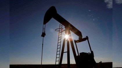 Oil prices fall despite output cuts, equities wobble
