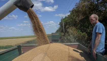 Grain deal termination may lead to uncertainty in markets: expert