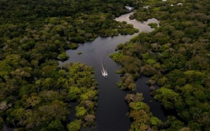 Amazon neighbors race to save world's biggest rainforest