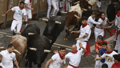 Spain's San Fermin bull runs wrap up with 35 injured