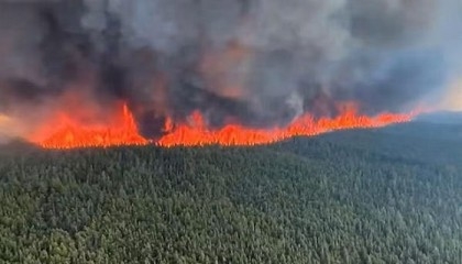 Canada wildfires have burned over 10 mn hectares this year