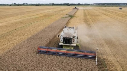 Five EU nations push to extend ban on Ukrainian grain


