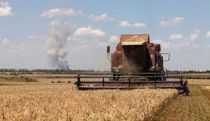 Ukraine war: Wheat prices soar on global markets