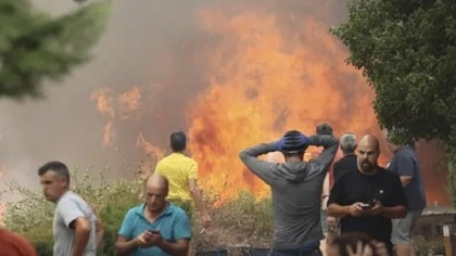 Algeria wildfires kill 15, injure 26: ministry