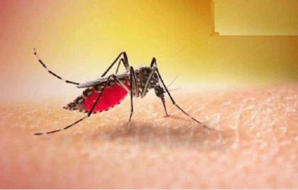 Medical student dies of dengue