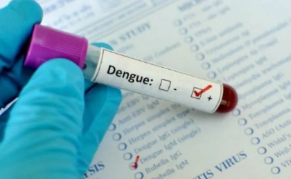 Dengue infection: Country witnesses 8 deaths, 2,731 cases in 24hrs   

