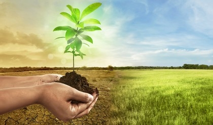 Climate adaptive technology, innovation must for dev of agro based industries: Experts

