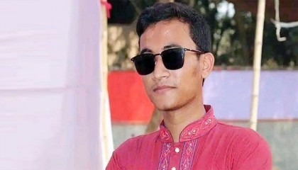 JnU student dies of dengue