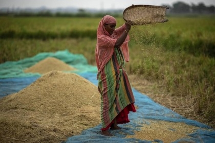 Global food prices rise after Russia ends grain deal and India restricts rice exports

