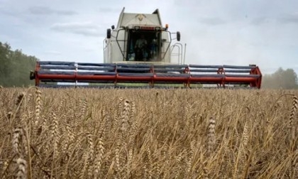 Russia's export duty on wheat to rise $30.43 per metric ton from August 9