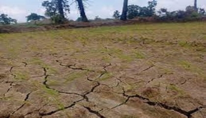 90,000 Sri Lankans affected by droughts
