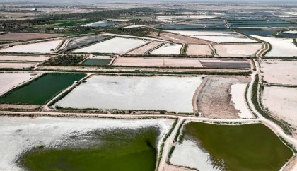 Water-stressed Iraq dries up fish farms

