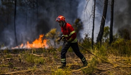 Portugal battles wildfires amid searing heat