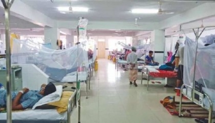 Dengue death toll crosses 400, new deaths 18


