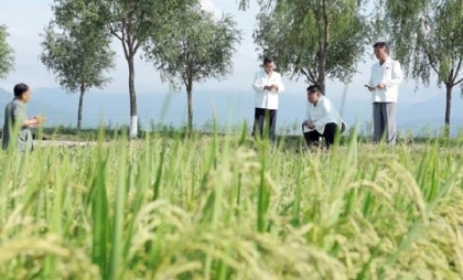 North Korea's Kim visits typhoon-hit farms amid food shortages