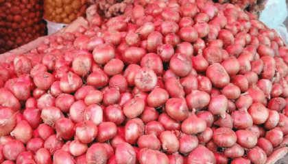 Govt nods import of onion from 9 countries