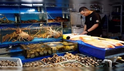 China halts all Japanese seafood imports over 'selfish' Fukushima release