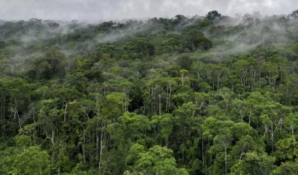 Ecuador banned Amazon oil. Brazil's Lula wants to drill