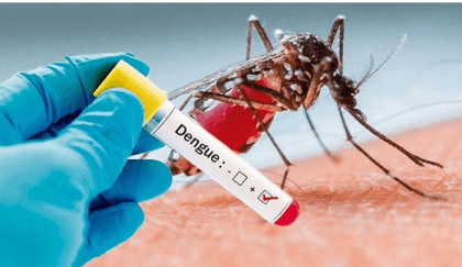 Eight dengue patients die, 2,331 hospitalised in 24hrs