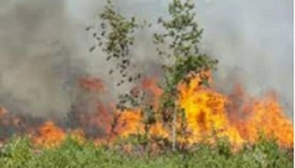 2 found dead in eastern Washington wildfires identified