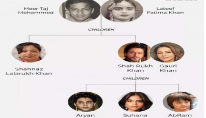Did you know Shah Rukh Khan's family hails from Kashmir and has relatives living in Pakistan?