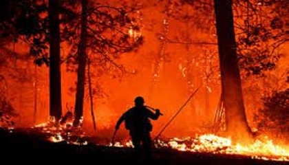 California firefighters use AI to battle wildfires