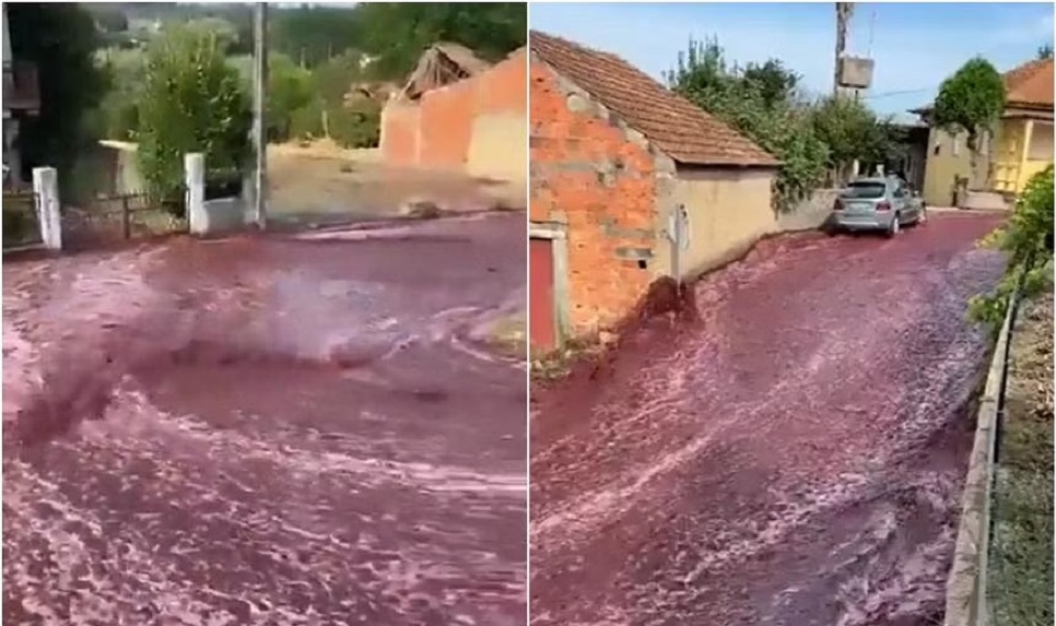 Portuguese town ‘flooded’ with 2.2 million litres of red wine after distillery tanks explode