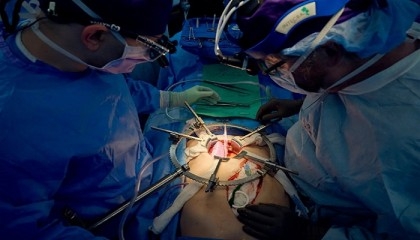 US surgeons report longest successful pig-to-human kidney transplant