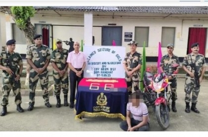 BSF thwarts gold smuggling bid at India-Bangladesh border, seizes 23 Kg