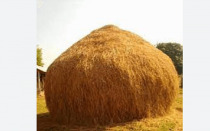 Mother, two children die as hay pile collapses in Feni
