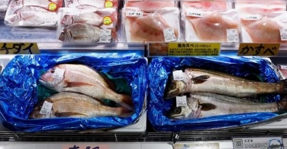 China's seafood imports from Japan down 67% in August

