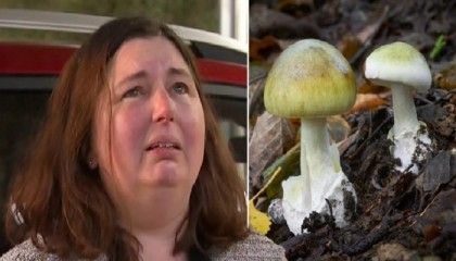 Survivor of Australian lethal mushroom mystery leaves hospital