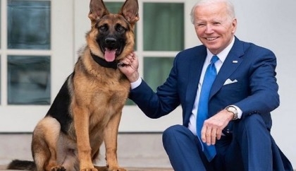 Biden’s dog bites another Secret Service agent