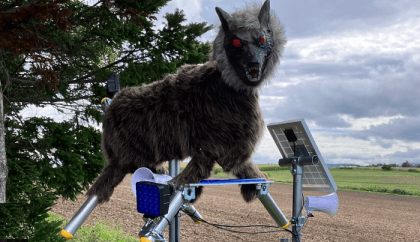 Watch: The Robot wolves trying to scare off Japan's bears
