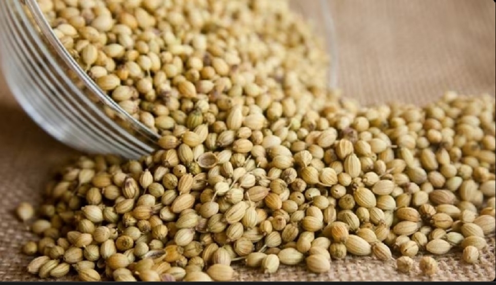 7 incredible benefits of coriander seeds