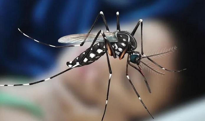 Deaths from dengue now 975 as 8 more die in 24 hrs