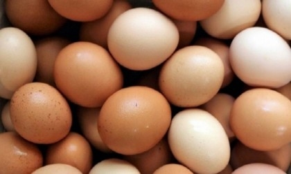 Imported eggs to arrive in country by this week: Commerce minister
