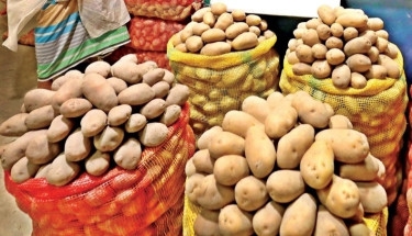 DCs asked to ensure govt fixed price of potatoes at cold storage