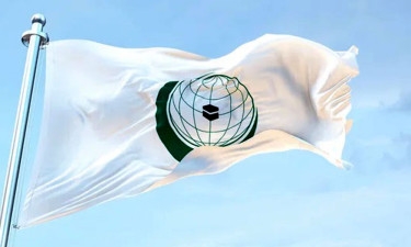OIC renews its support for rights of Palestinian people