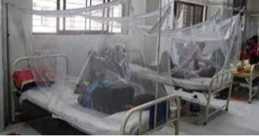 Deaths from dengue now 1,370 with 15 more reported Thursday