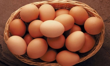 Finally, 62,000 eggs come from India, price per egg stands at Tk7.23