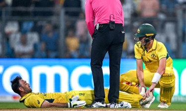 Maxwell in 'full body pain' during 'greatest-ever' ODI innings