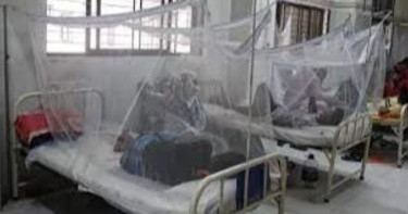 Dengue: 6 more die; 1,512 hospitalised in 24hrs