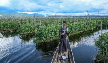 Myanmar's famed Inle Lake chokes on floating farms