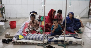 Dengue: 8 more die; 1,429 hospitalised in 24hrs