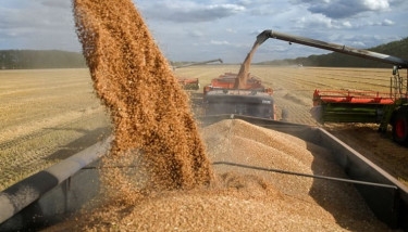 Russia to supply up to 200,000 tons of wheat to Africa for free by end of 2023
