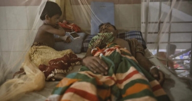 Dengue: 5 more die; 1,197 hospitalised in 24hrs